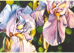 #106
31"w x 24"h, framed size
$450