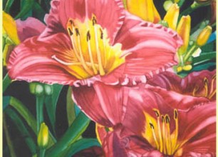 #111 s Hybrids'
31"w x 39"h, framed size
SOLD