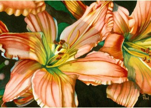 #120
31"w x 24"h, framed size
$600