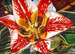 #127
23"w x 19"h, framed size
$450