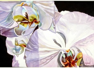 #129 s Orchids'
28"w x 22"h, framed size
$350
