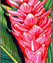 #135
20"w x 39"h, framed size
$700