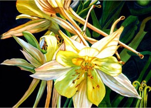 #169-
39"w x 31"h, framed size
$1400