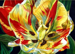 #218
31"h x 39"w, framed size
$2000