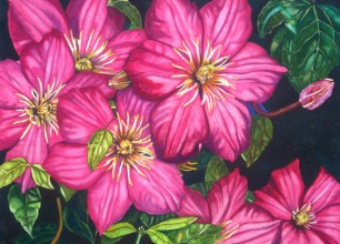 #230
31"h x 39"w Framed size
$2000