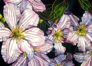 #231
31"h x 39"w framed size
$2000