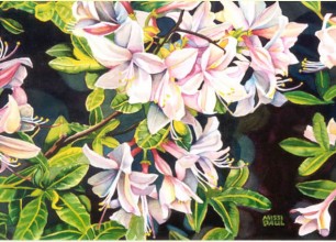 #82
25"w x 22"h, framed size
$450