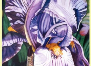 #91
24"w x 31"h, framed size
$500