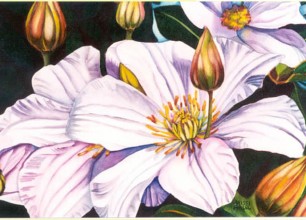 #95
24"w x 15"h, framed size
SOLD